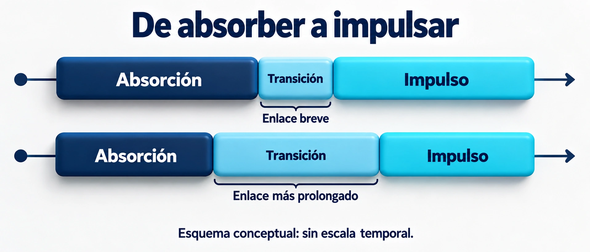 El enlace entre la absorción y el impulso influye en el carácter rápido del ciclo de estiramiento-acortamiento.