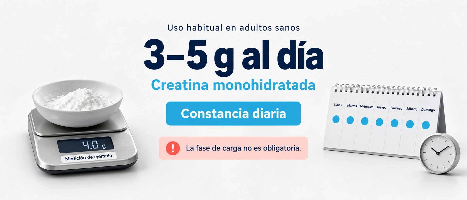 Una pauta habitual de creatina monohidratada en adultos sanos es de tres a cinco gramos diarios, con constancia y sin carga obligatoria.