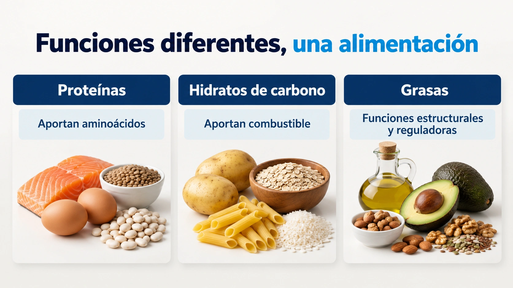 Proteínas, hidratos de carbono y grasas cumplen funciones diferentes dentro de una alimentación ajustada a la persona