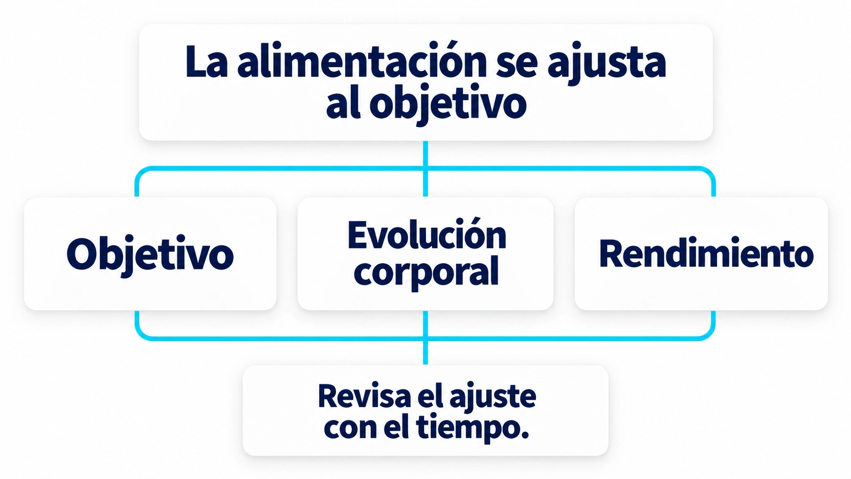 El objetivo, la evolución corporal y el rendimiento se consideran al ajustar la alimentación