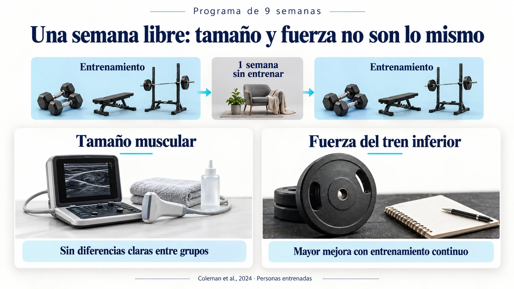 El estudio de una semana de descanso en un programa de nueve semanas distingue tamaño muscular y fuerza del tren inferior.
