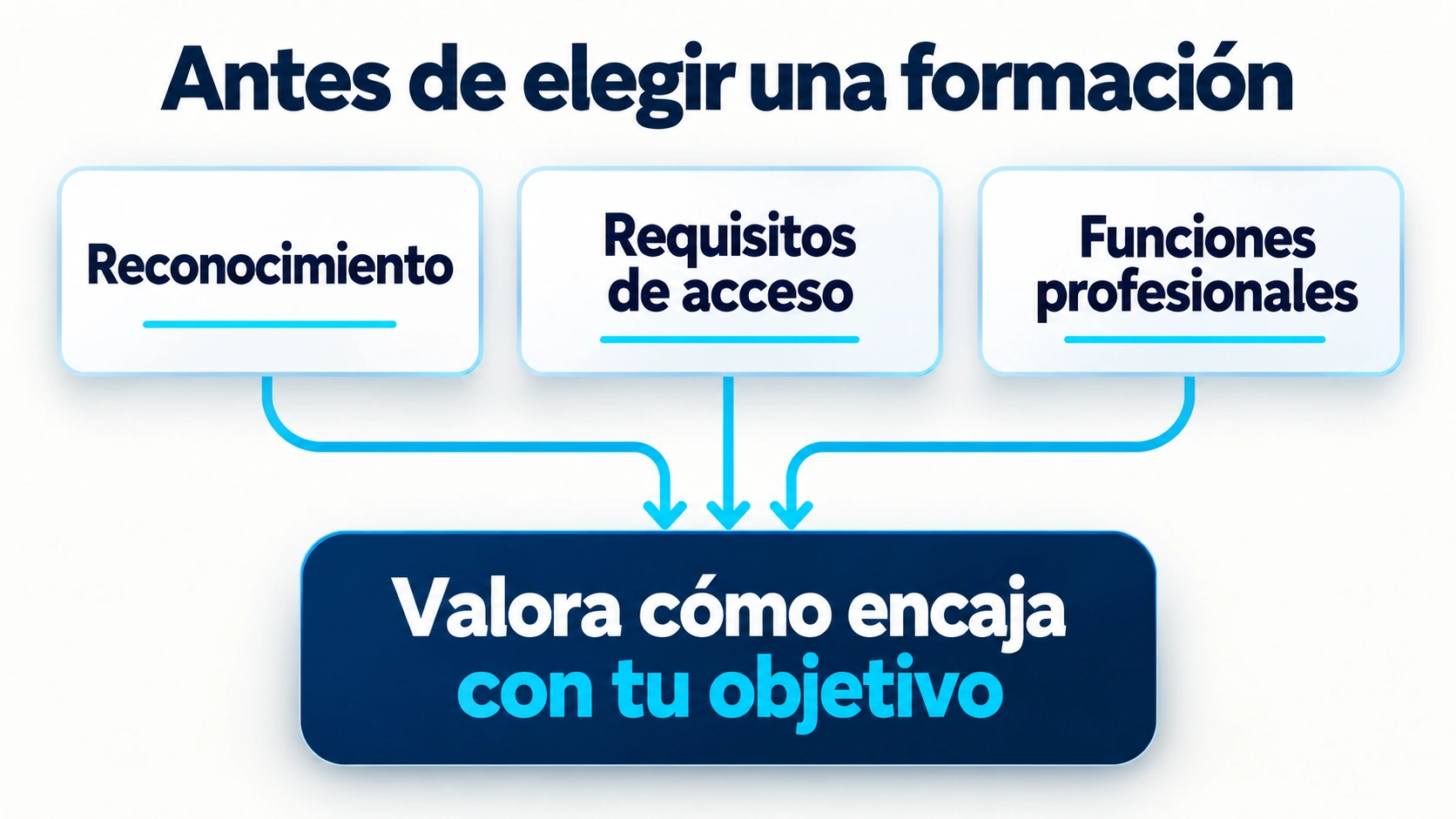 El reconocimiento oficial, los requisitos de acceso y las funciones profesionales se valoran al elegir una formación