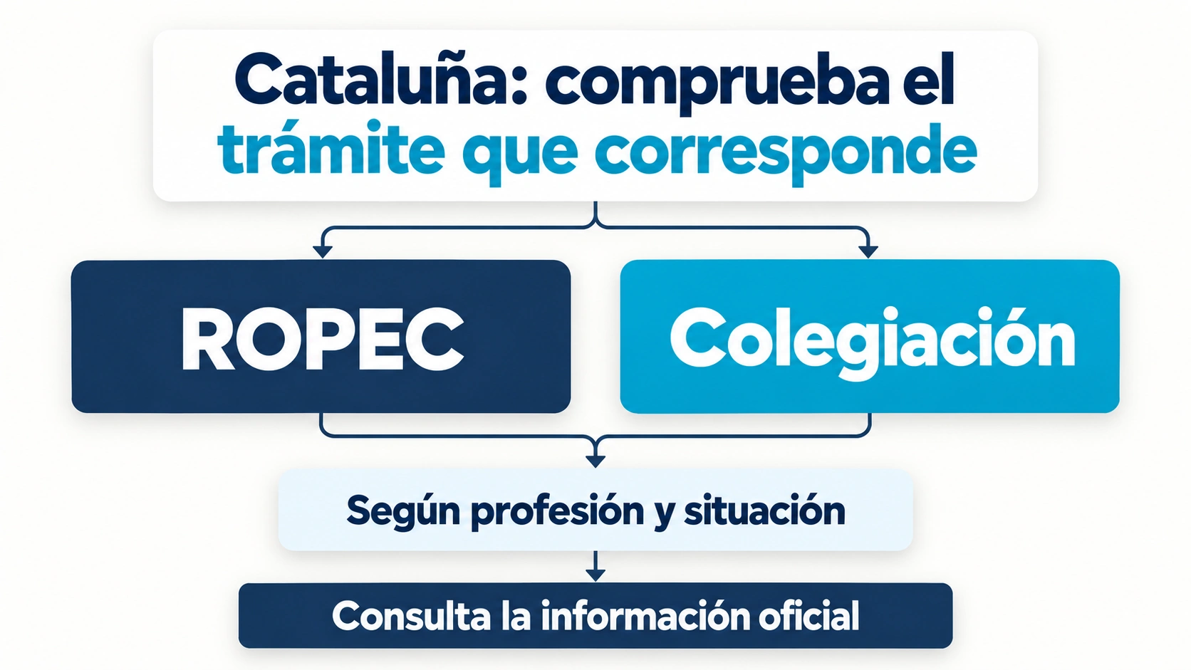 En Cataluña se comprueba si corresponde inscripción en el ROPEC o colegiación según la profesión y el caso
