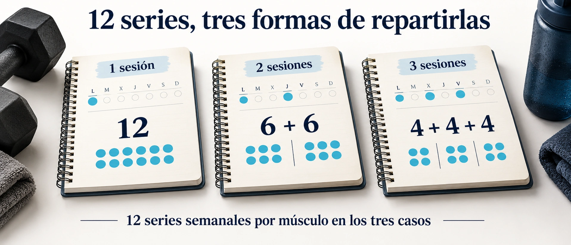 Distribución de 12 series semanales por músculo en una sesión de 12, dos de 6 o tres de 4 series.