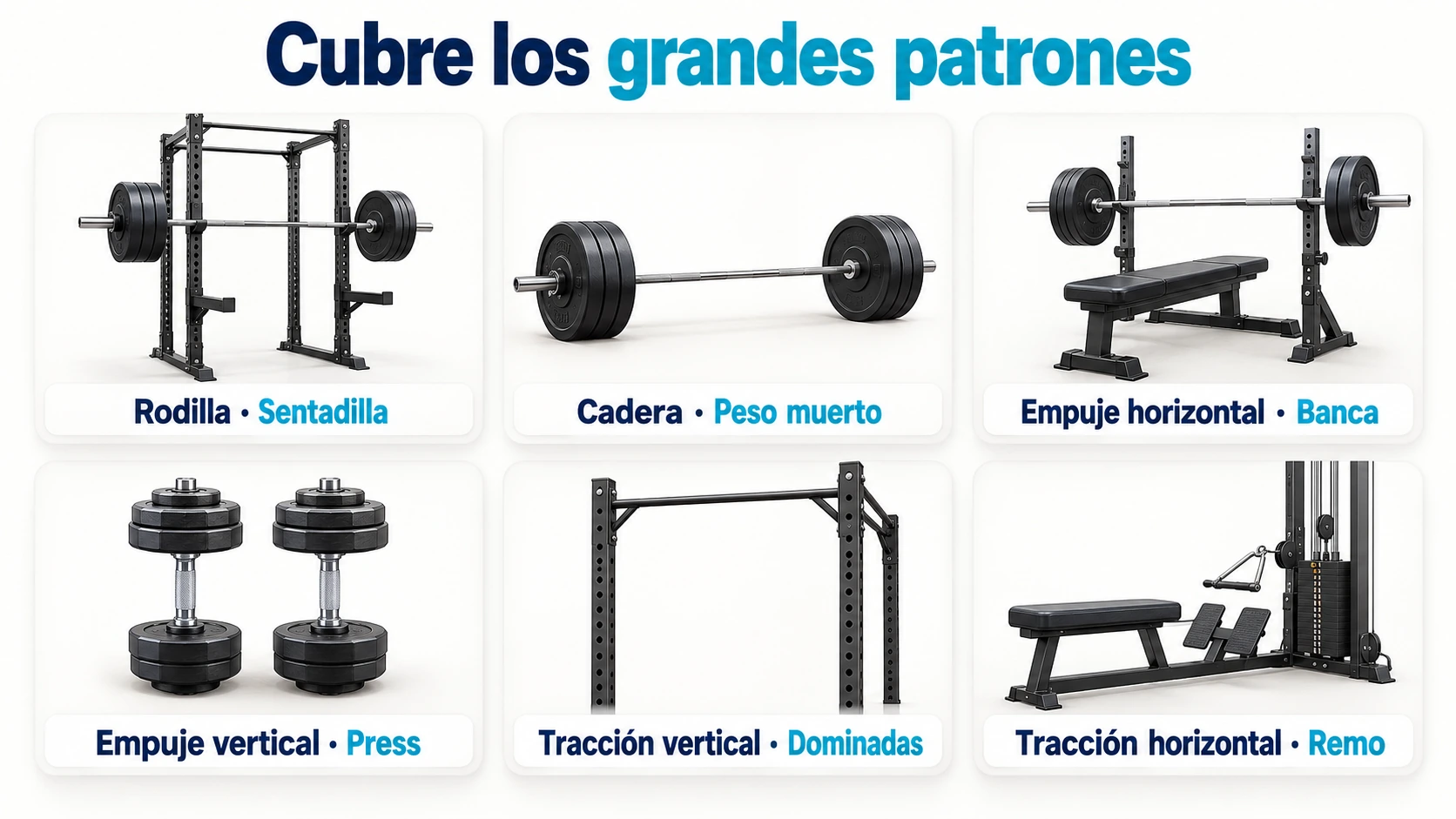 Seis patrones de movimiento para seleccionar ejercicios de fuerza.