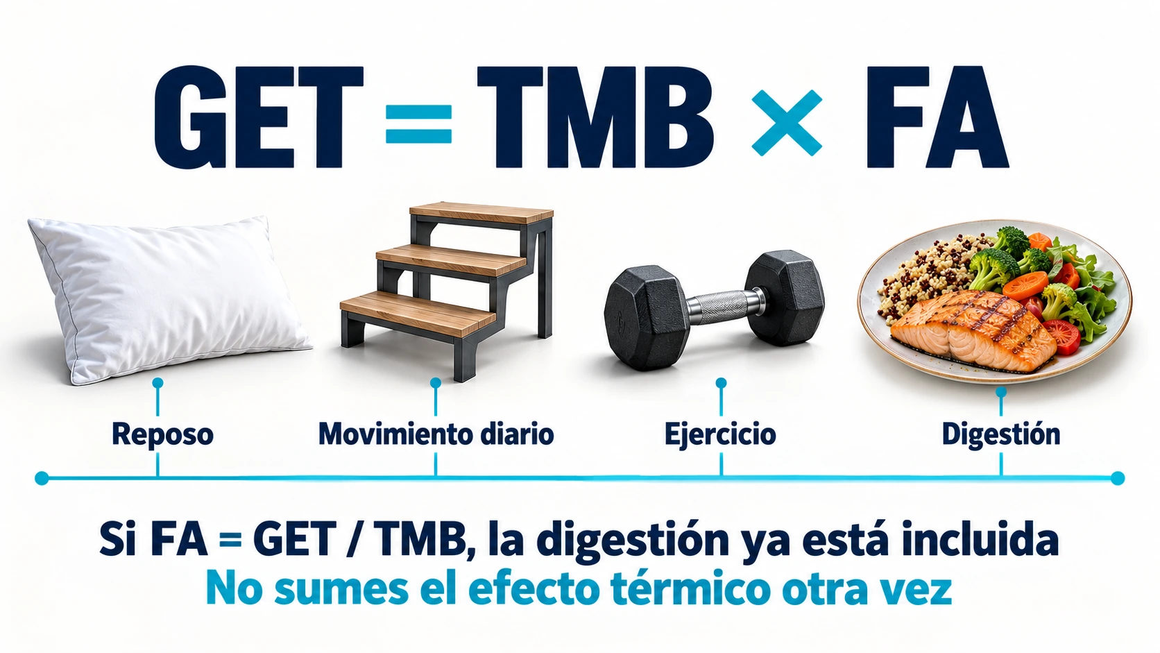 El gasto energético total calculado con un factor GET/TMB incluye reposo, movimiento diario, ejercicio y digestión.