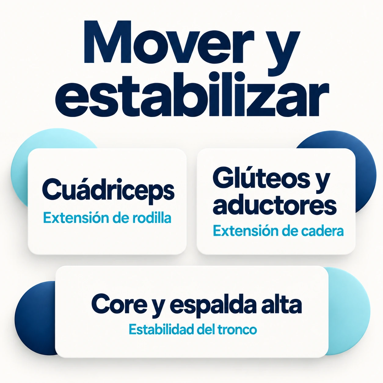 Funciones de cuádriceps, glúteos, aductores, core y espalda alta durante la sentadilla goblet.