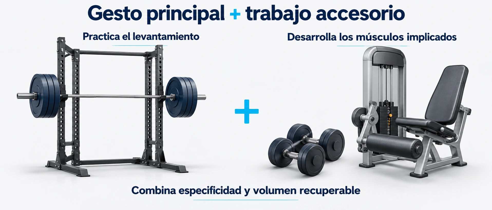 El ejercicio principal practica el gesto de fuerza y el trabajo accesorio desarrolla los músculos implicados