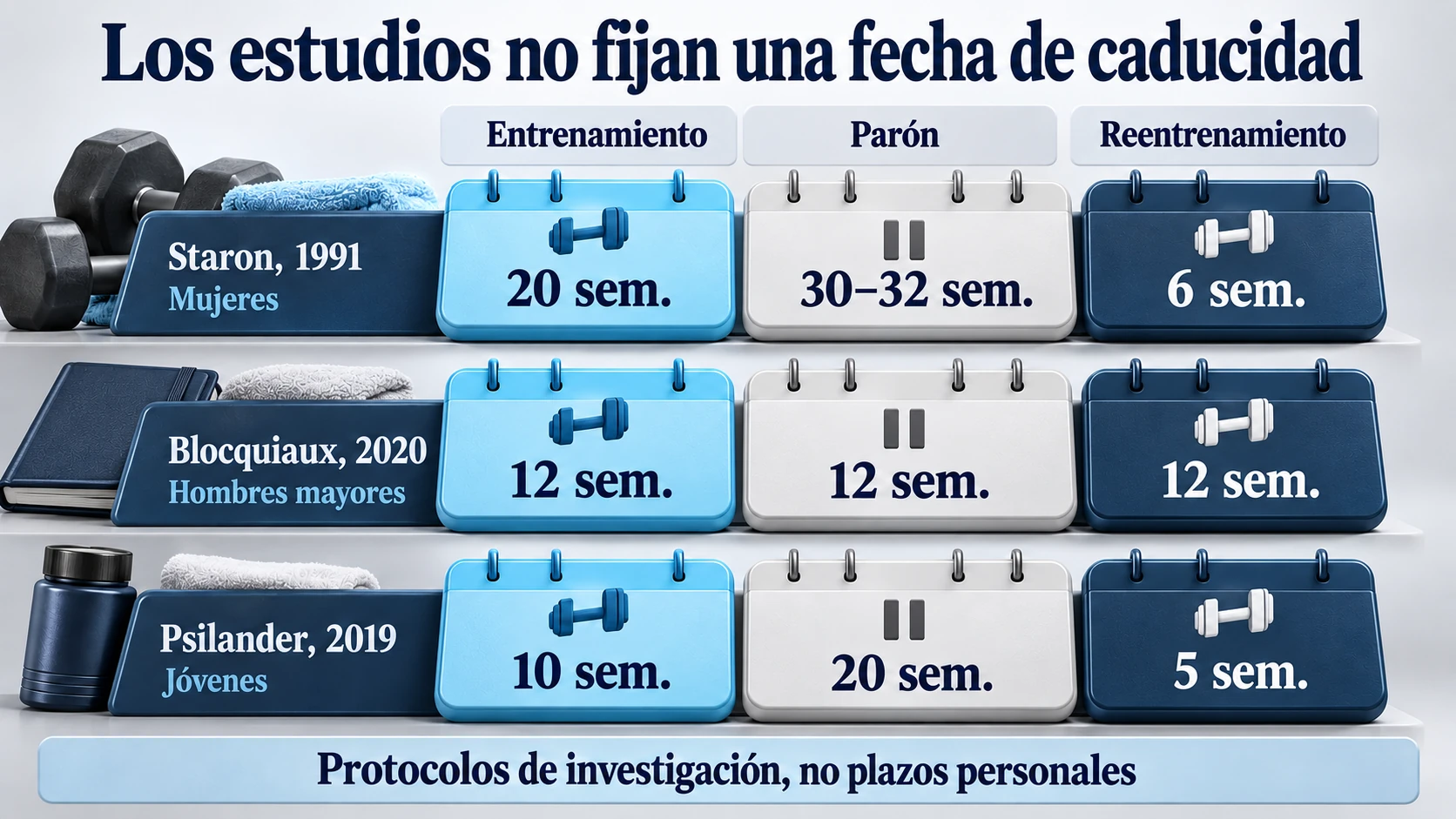 Duración de las fases de entrenamiento, parón y reentrenamiento en tres estudios de memoria muscular.