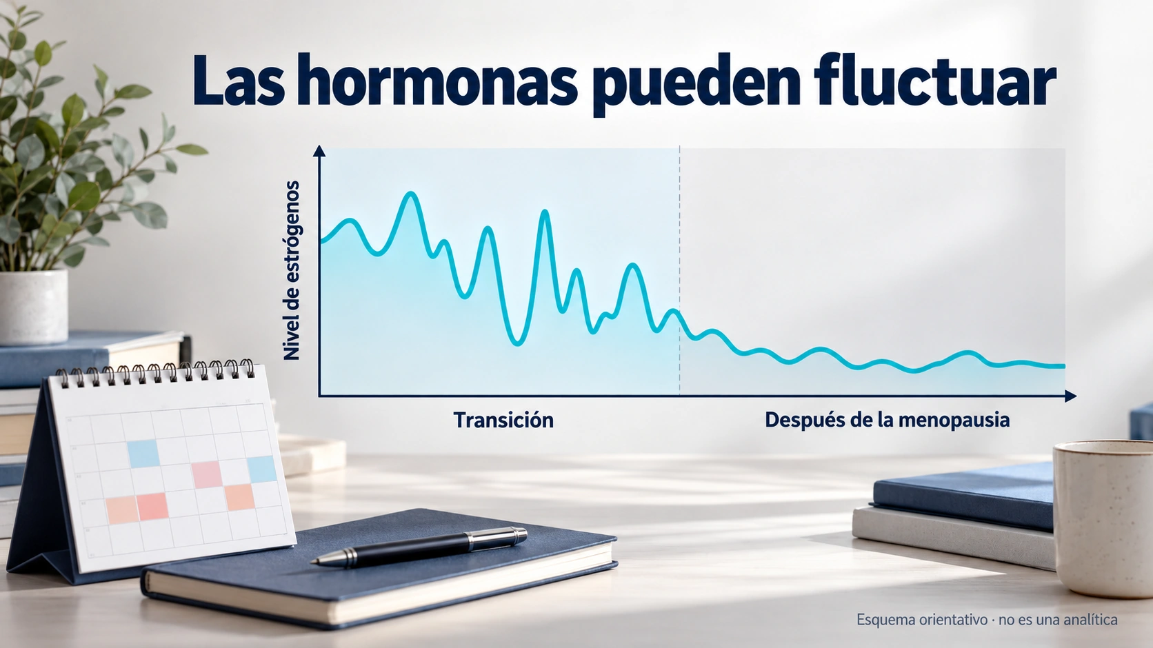 Esquema cualitativo de fluctuaciones de estrógenos durante la transición y niveles generalmente menores tras la menopausia