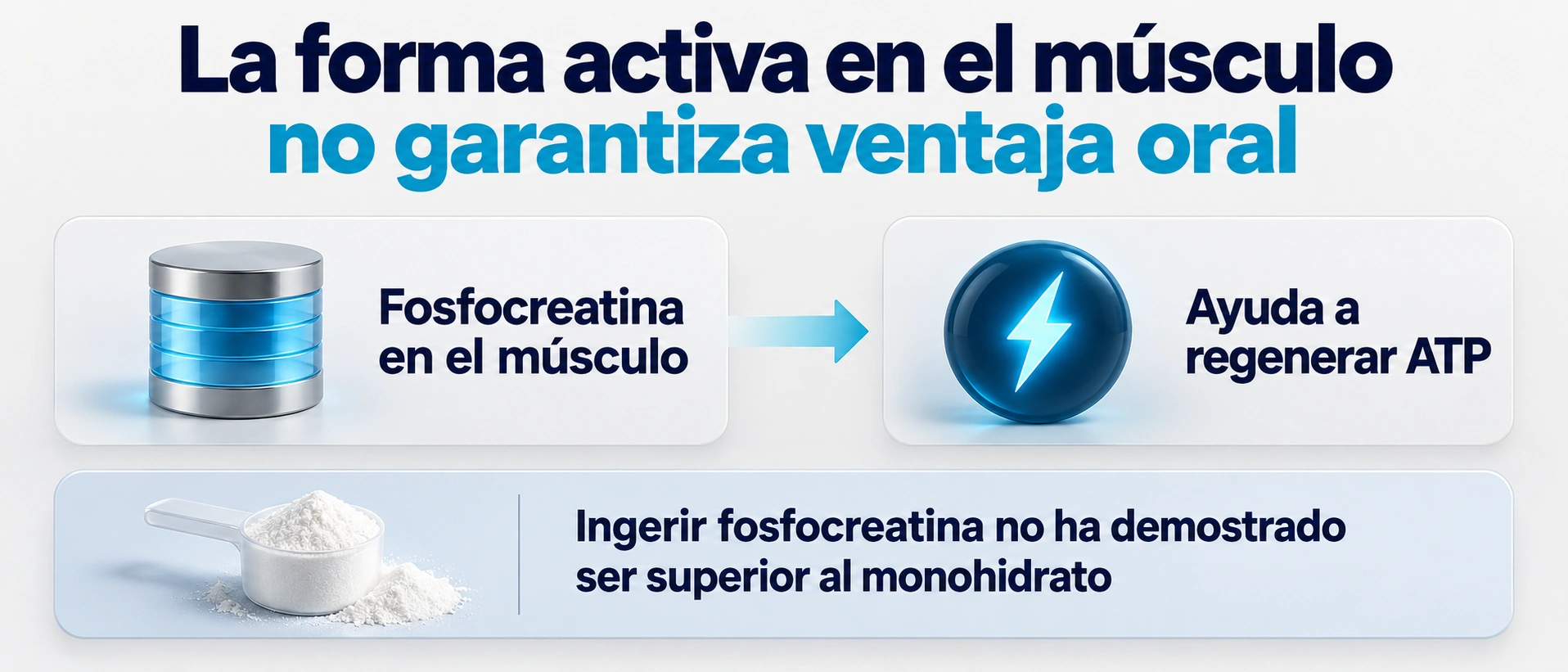 Una función dentro del músculo no demuestra que ingerir esa forma mejore el suplemento.