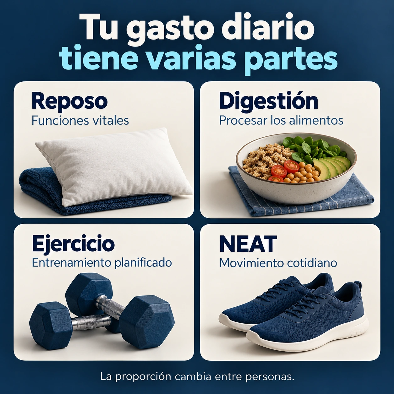 Cuatro componentes del gasto diario: reposo, digestión, ejercicio y movimiento cotidiano.