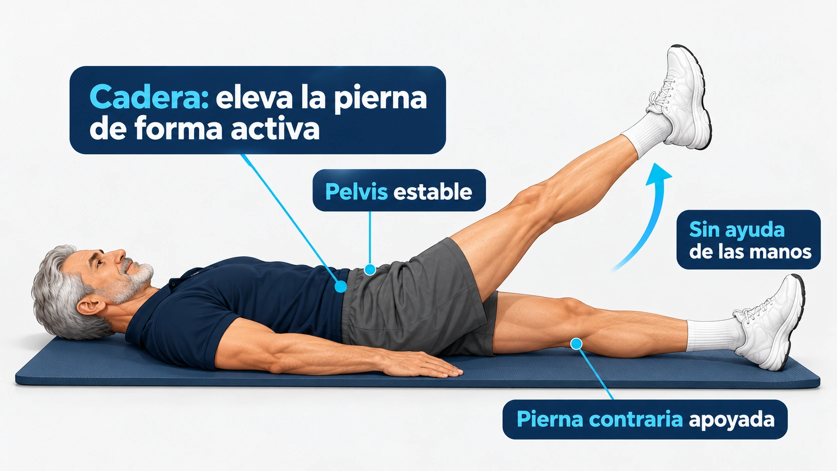La pierna se eleva sin ayuda de las manos mientras la otra permanece apoyada y la pelvis se mantiene estable.