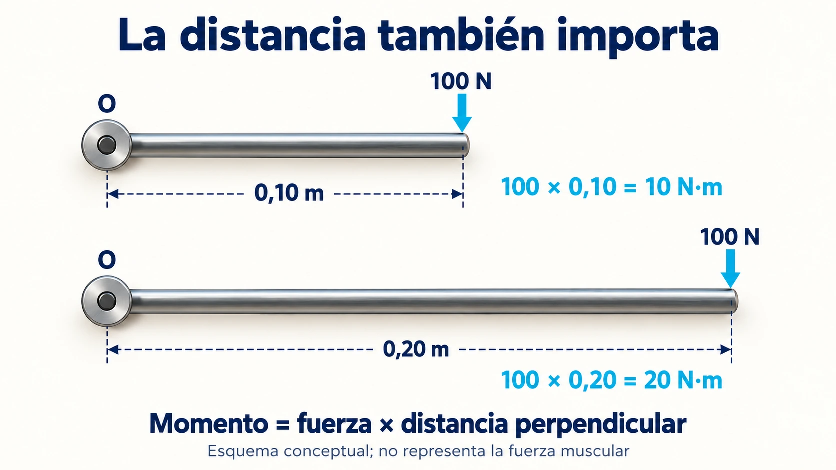Modelo del momento de fuerza: 100 newtons a 0,10 y 0,20 metros producen 10 y 20 newton metro.