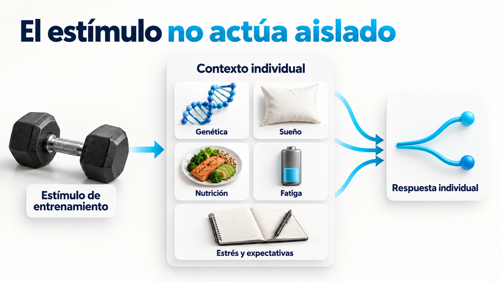 Factores del contexto individual que influyen en la respuesta al entrenamiento
