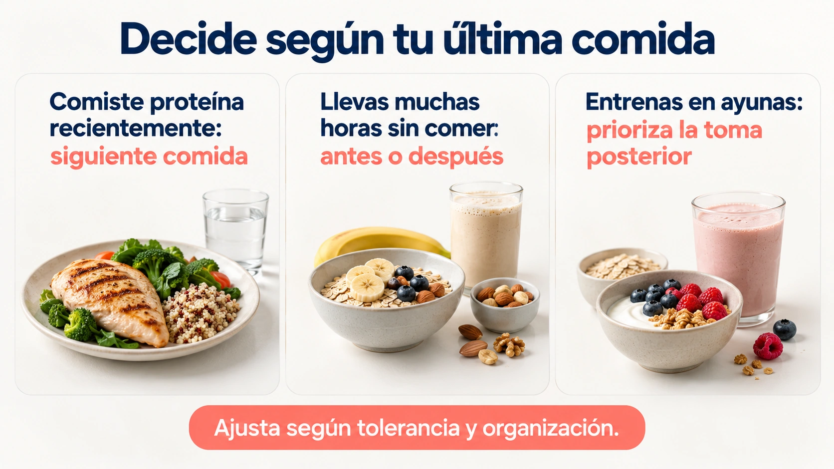 La última comida con proteína y la tolerancia digestiva orientan la elección de una toma antes o después