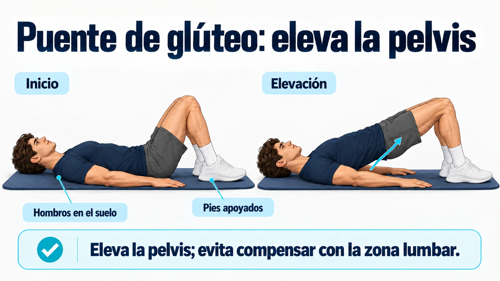 Puente de glúteo en el suelo con hombros apoyados y elevación controlada de la pelvis.