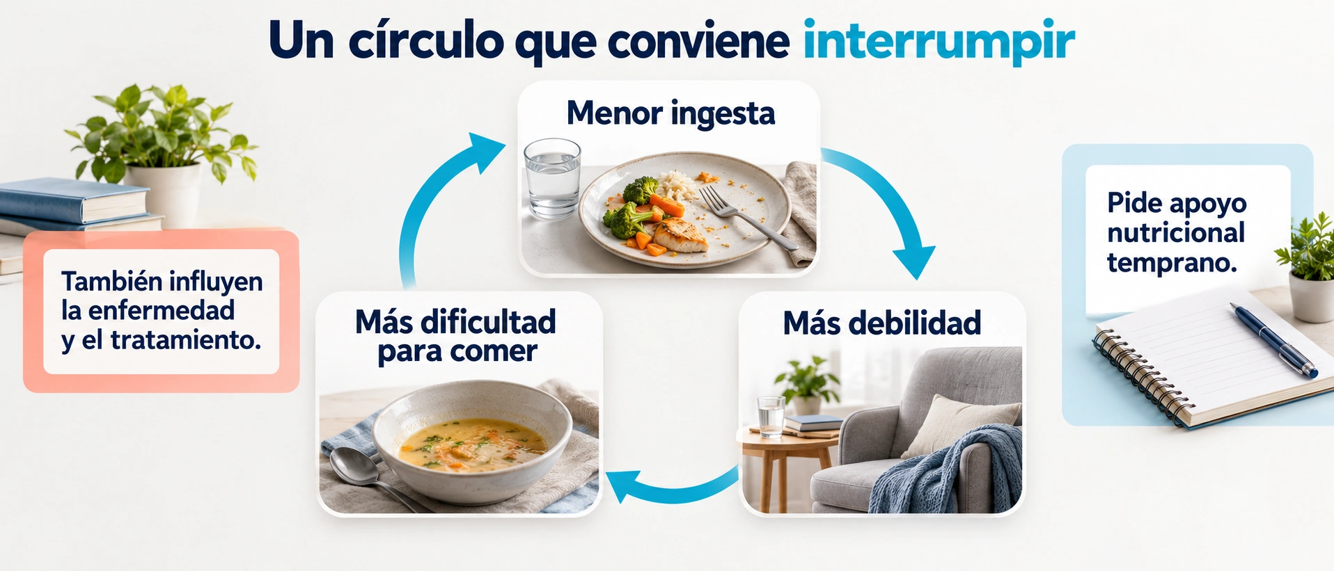 La baja ingesta, la debilidad y las dificultades para alimentarse pueden reforzarse entre sí.