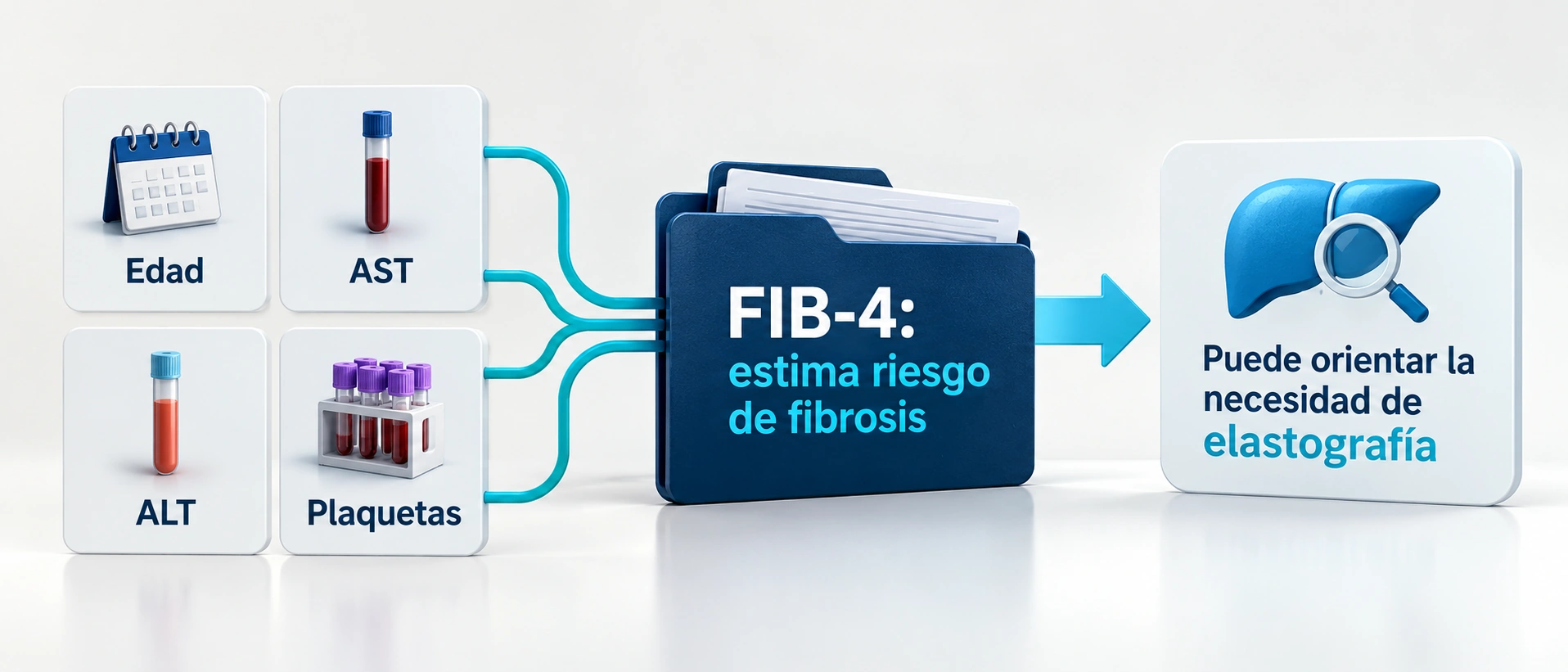 El FIB-4 estima riesgo de fibrosis y puede orientar pruebas posteriores sin establecer un diagnóstico solo