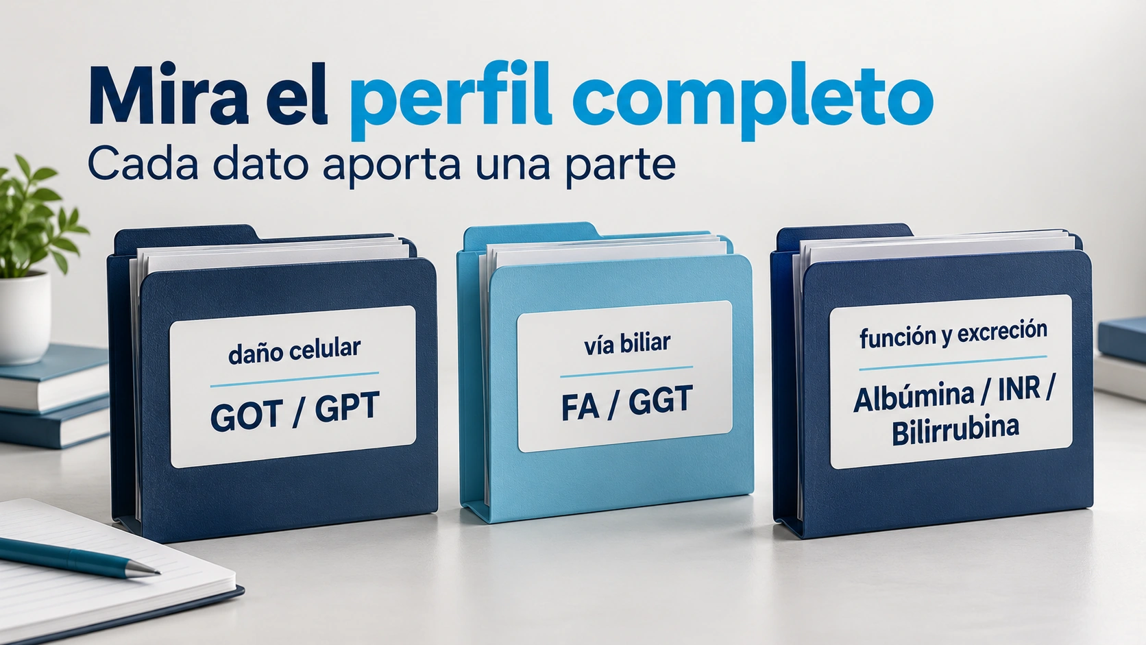 Las enzimas de daño celular se interpretan junto a marcadores biliares y de función hepática