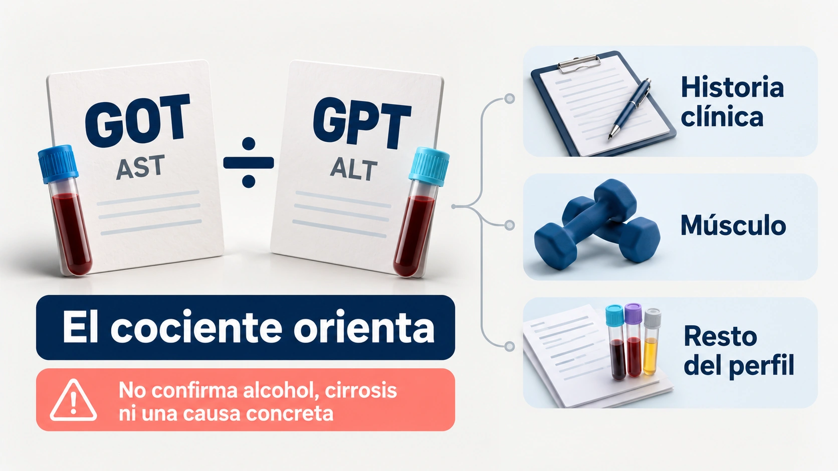 La relación entre GOT y GPT orienta pero no diagnostica alcohol ni fibrosis por sí sola